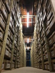 Box stoargae Maidstone